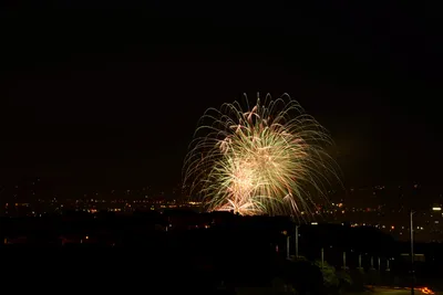 DSC_9901 (Large).JPG